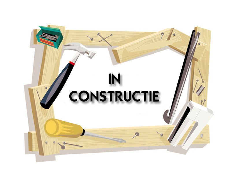 In constructie